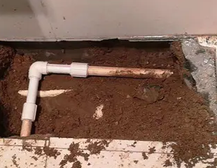 兴宾测漏水哪家好