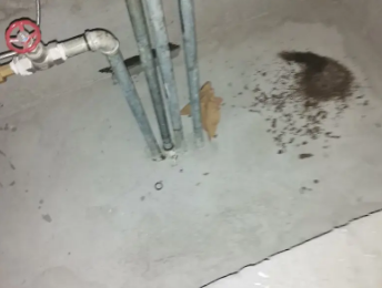 兴宾卫生间测漏水价格明细